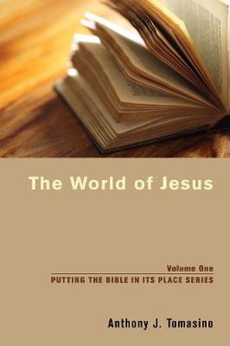 Cover image for The World of Jesus