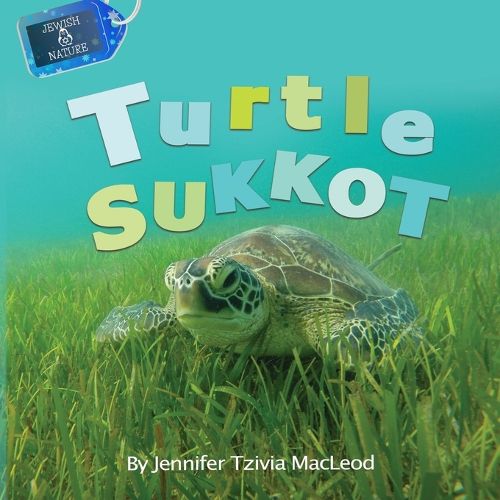 Cover image for Turtle Sukkot