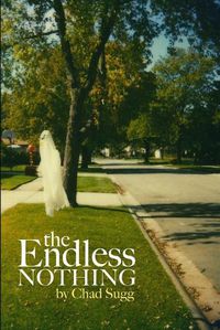 Cover image for The Endless Nothing