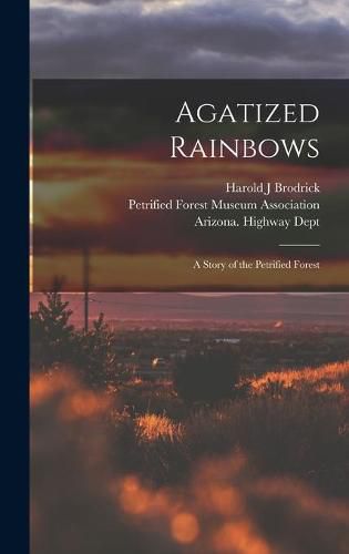 Agatized Rainbows: a Story of the Petrified Forest