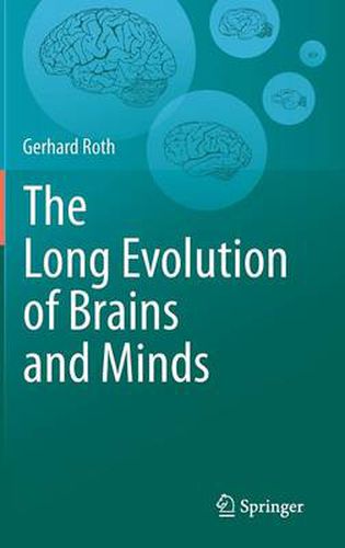 The Long Evolution of Brains and Minds