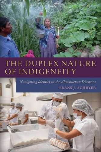 Cover image for The Duplex Nature of Indigeneity