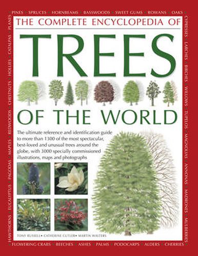 Cover image for Complete Encyclopedia of Trees of the World