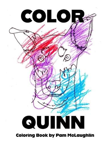 Cover image for Color Quinn