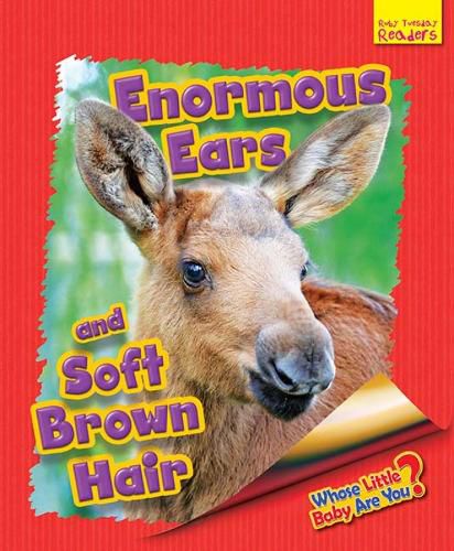 Whose Little Baby are You?: Enormous Ears and Soft Brown Hair