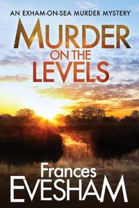 Cover image for Murder on the Levels