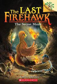 Cover image for The Secret Maze: A Branches Book (the Last Firehawk #10): Volume 10