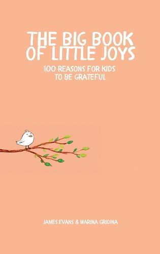 Cover image for The Big Book of Little Joys