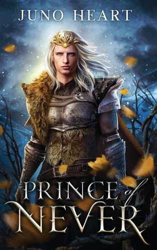 Cover image for Prince of Never: A Fae Romance