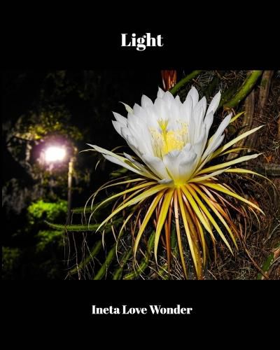 Cover image for Light