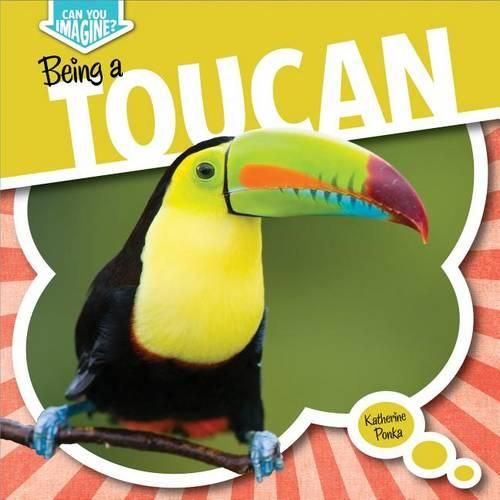 Cover image for Being a Toucan