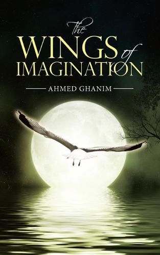 Cover image for The Wings of Imagination