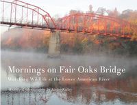 Cover image for Mornings on Fair Oaks Bridge: Watching Wildlife at the Lower American River