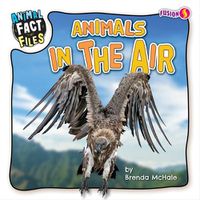 Cover image for Animals in the Air