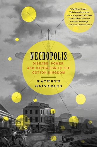 Cover image for Necropolis