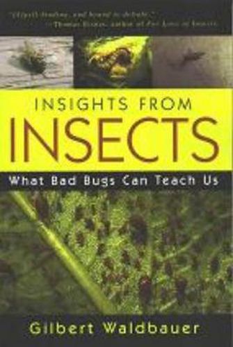 Cover image for Insights From Insects: What Bad Bugs Can Teach Us