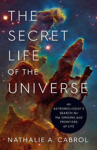 Cover image for The Secret Life of the Universe