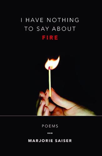 Cover image for I Have Nothing to Say about Fire