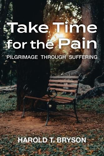Cover image for Take Time for the Pain: Pilgrimage Through Suffering