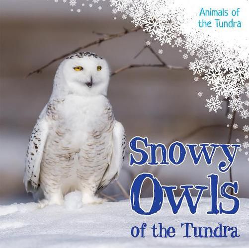 Cover image for Snowy Owls of the Tundra