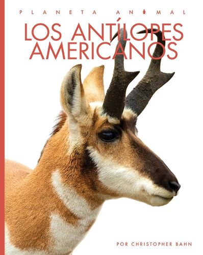Cover image for Los Antilopes Americanos