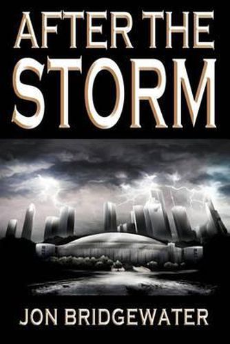 After the Storm: A David Storm Mystery