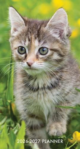Cover image for Cute as a Kitten 2-Year 2026-27 3.5 X 6.5 Monthly Pocket Planner
