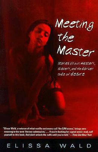 Cover image for Meeting the Master