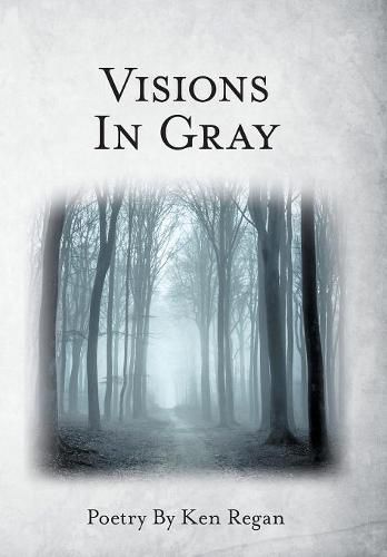 Cover image for Visions in Gray