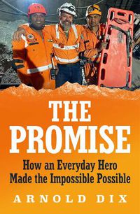 Cover image for The Promise