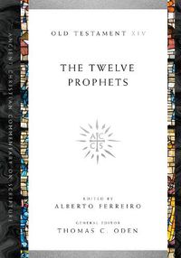 Cover image for The Twelve Prophets