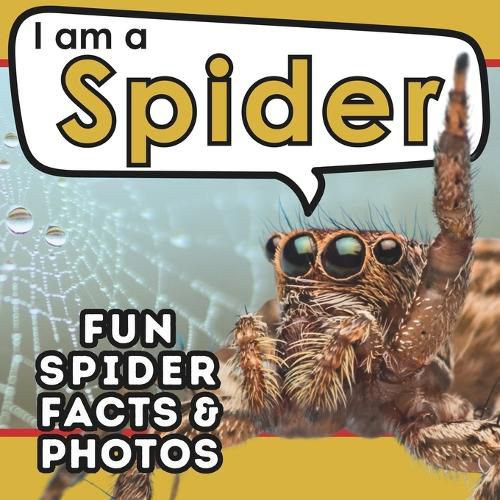 Cover image for I am a Spider