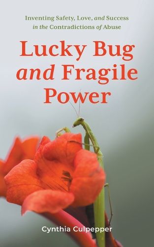 Cover image for Lucky Bug and Fragile Power