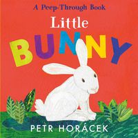 Cover image for Little Bunny
