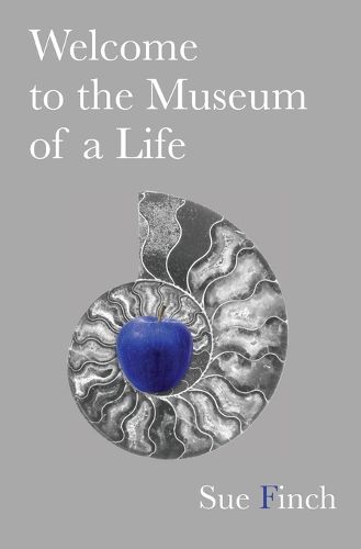 Cover image for Welcome to the Museum of a Life