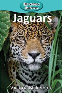 Cover image for Jaguars