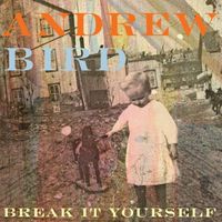 Cover image for Break It Yourself Cd/dvd Edition