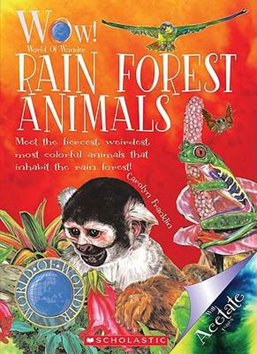 Cover image for Rain Forest Animals