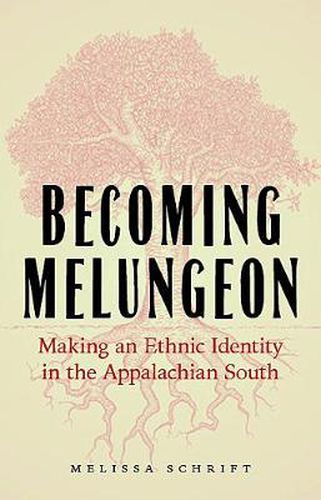 Cover image for Becoming Melungeon: Making an Ethnic Identity in the Appalachian South