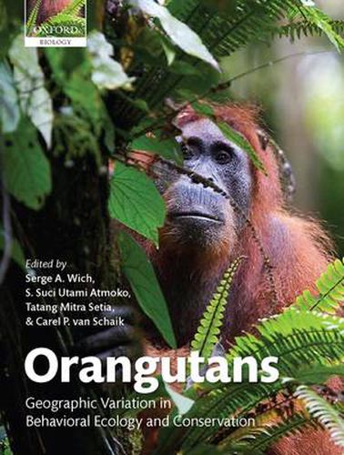 Cover image for Orangutans: Geographic Variation in Behavioral Ecology and Conservation