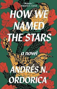 Cover image for How We Named the Stars