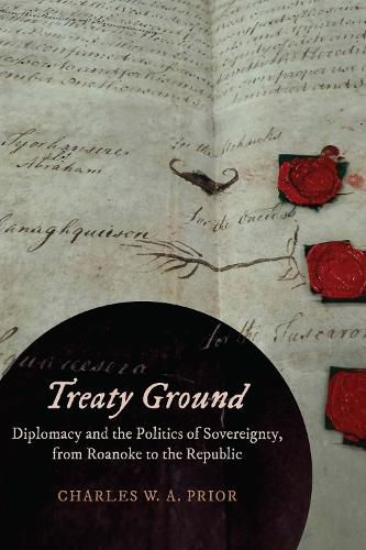 Cover image for Treaty Ground