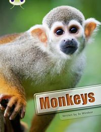 Cover image for Bug Club Guided Non Fiction Year 3 White A Monkeys