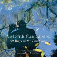 Cover image for All I See Is Your Glinting: 90 Days in the Pandemic