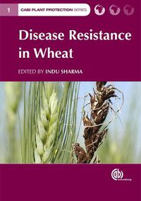 Cover image for Disease Resistance in Wheat