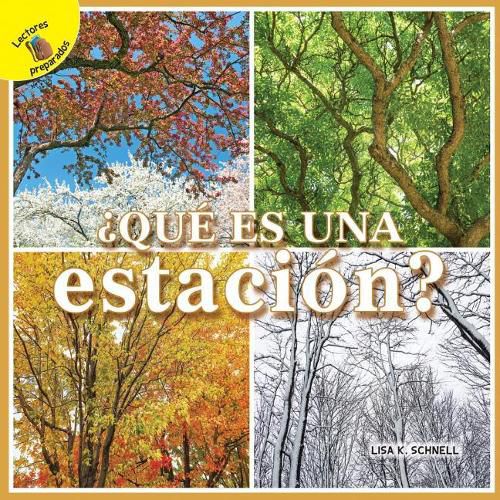 Cover image for Mi Mundo (My World) ?Que Es Una Estacion?: What Is a Season?