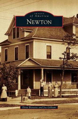 Cover image for Newton