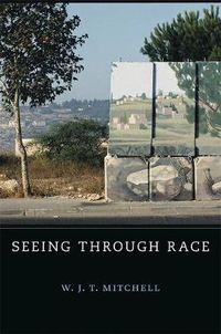 Cover image for Seeing Through Race