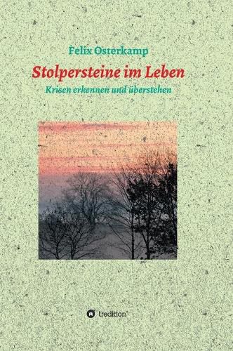 Cover image for Stolpersteine im Leben - Krisen erkennen und uberstehen