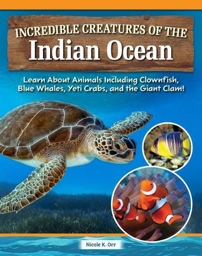 Cover image for Incredible Creatures of the Indian Ocean